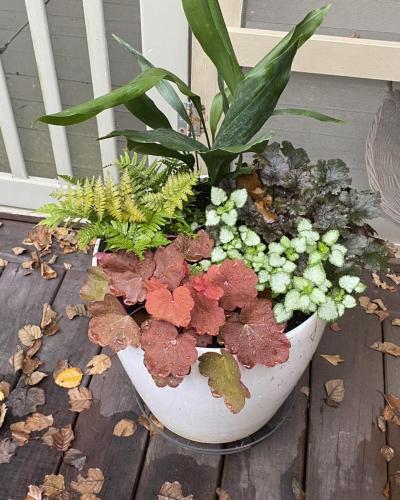 Custom plant arrangement