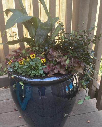 Custom plant arrangement