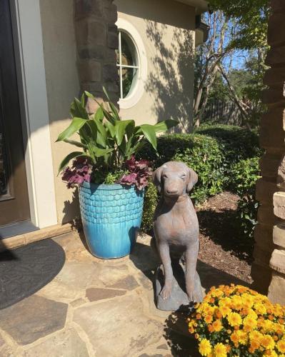 Custom plant arrangement