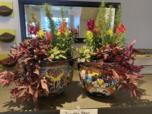 Custom plant arrangement