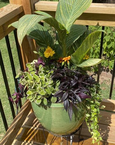 Custom plant arrangement