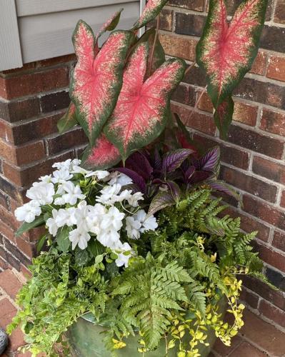 Custom plant arrangement