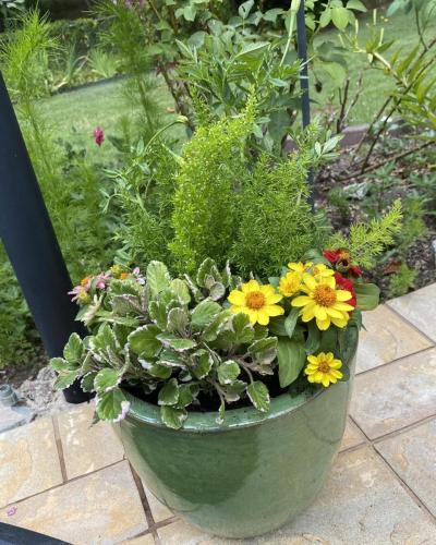 Custom plant arrangement