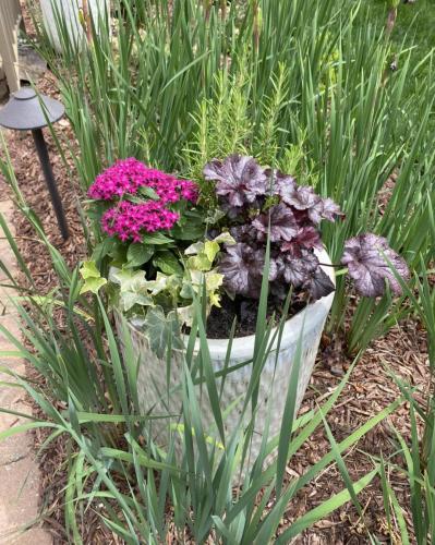 Custom plant arrangement