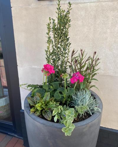 Custom plant arrangement
