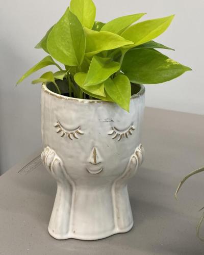 Custom plant arrangement