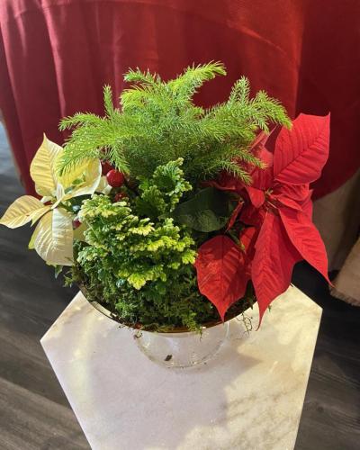 Custom plant arrangement