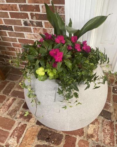 Custom plant arrangement