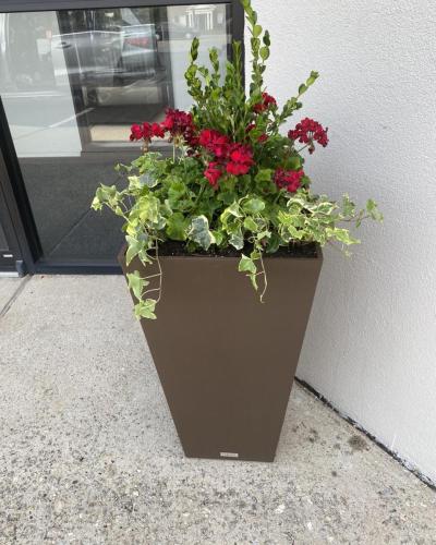 Custom plant arrangement