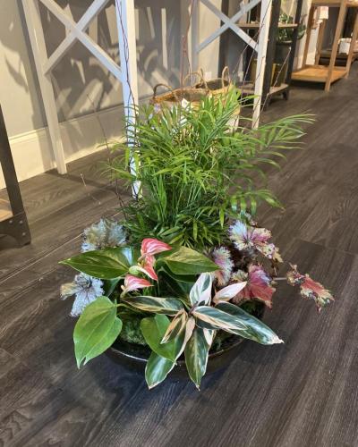 Custom plant arrangement