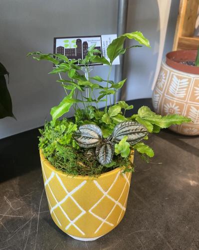 Custom plant arrangement