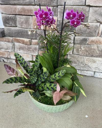 Custom plant arrangement