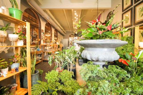 Custom plant arrangement