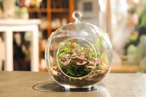 Custom plant arrangement